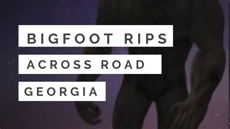 Bigfoot Rips Across Road Georgia🙉 Youtube