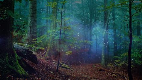 For some, serene landscapes make the perfect wallpapers. 3D fractal, Forest, Trees Wallpapers HD / Desktop and ...