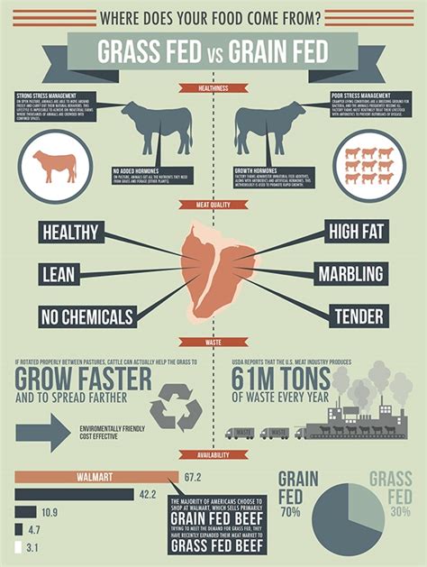 Grass Fed Vs Grain Fed Infographic On Behance
