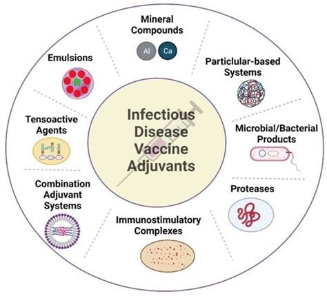 Vaccines Free Full Text Advances In Infectious Disease Vaccine