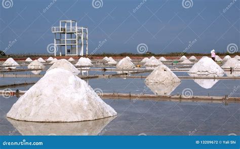 Sea Salt Production Stock Photo Image Of Paddies Production 13209672