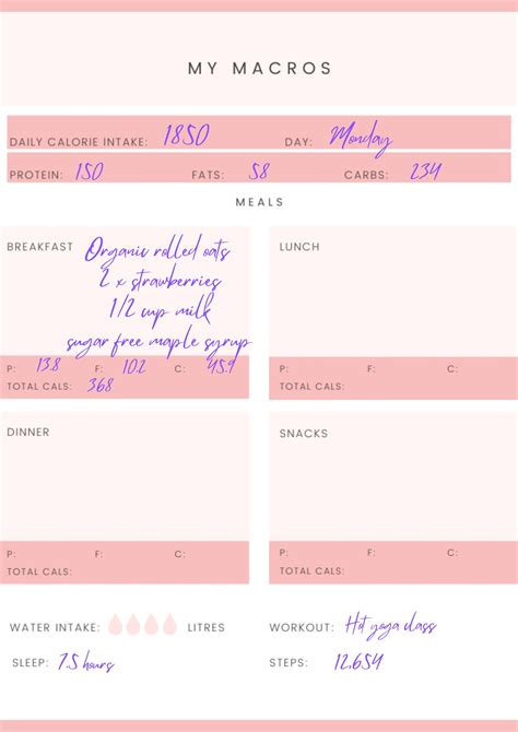 Macro Tracker Printable Daily Macro Diary Meal Planner Meal Tracker