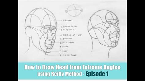 How To Draw Head Using Reilly Method Episode 1 Youtube