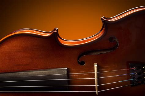 Wallpaper Musical Instrument Cello Viola Viol Plucked String