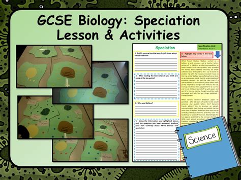 Ks4 Aqa Gcse Biology Science Speciation Lesson And Activities