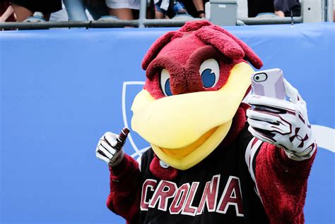 Look South Carolina Unveils New On Campus Mascot Statue