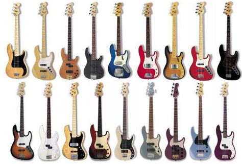 Types Of Bass Guitars