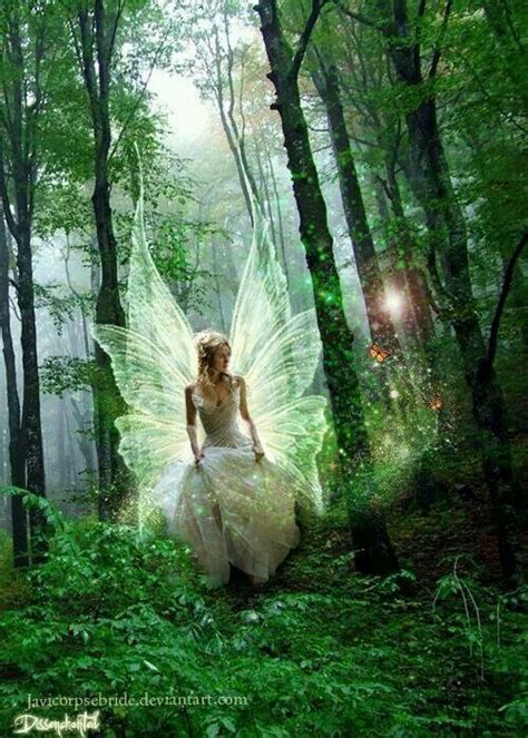 √ Forest Pictures Of Fairies Alumn Photograph
