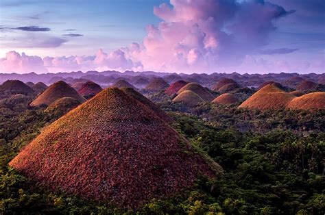 Earthquake Philippines Chocolate Hills Death Toll In Philippines