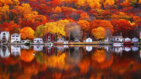 Autumn Lake Trees Houses Village Beautiful Scenery 640x1136 Iphone