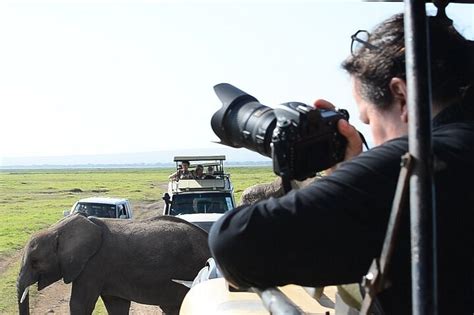 Tripadvisor 2 Tage Safari Amboseli Wildlife Tour Ab Nairobi Zur