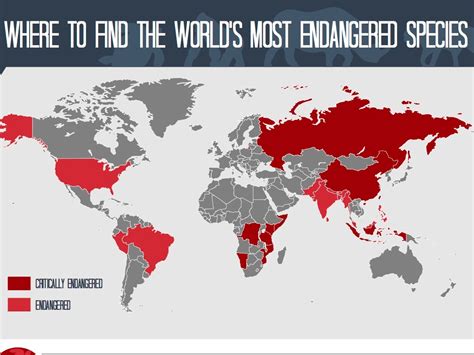 This Map Shows Where The Most Endangered Animals In The