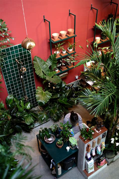 View Of Tula Plants And Design From Above Flower Shop Design Plant