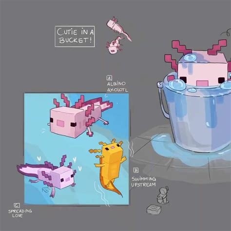 Minecraft Axolotl Concept Art