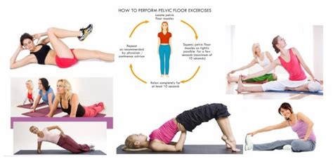 Pelvic floor exercises are the exercises to target men's penile weakness. An Overview of Pelvic Floor Exercises | MCM Outlet