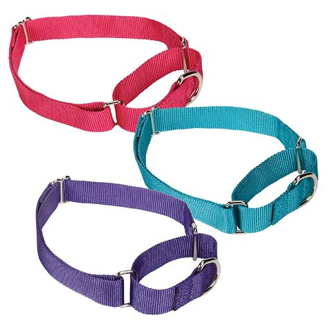 Top 5 Best Martingale Training Collars For Dogs That Pull The Spoiled