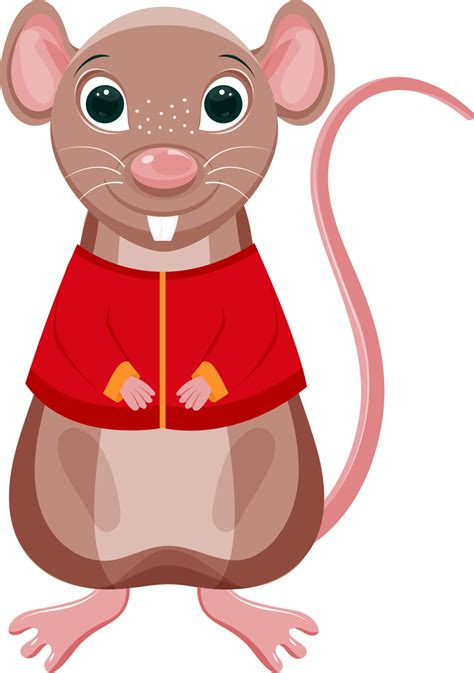Cartoon Character Of Rat Standing On White Background 24242609 Vector