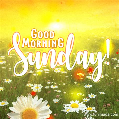 A Delightful Good Morning Sunday  Featuring The Morning Sun Shining
