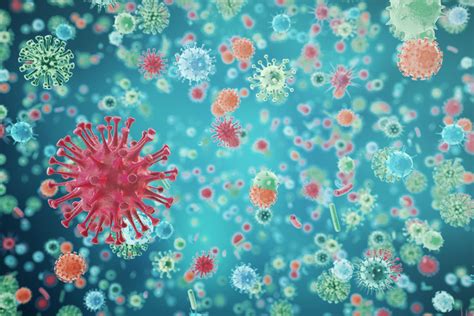 Wirusy Grypy Rodzaje Objawy Zakażenia Leczenie Poradnikzdrowiepl