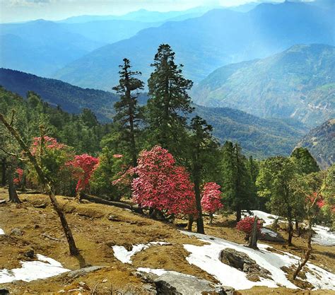 Almora Tourism Guide Places And Hill Station