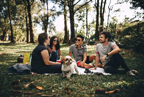 Las Mejores Ideas Para Un Picnic Con Amigos