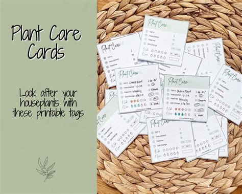 Plant Care Instructions Card Printable Plant Tags Digital Etsy