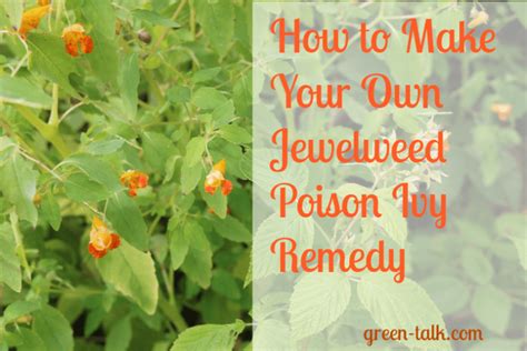 Jewelweed Poison Ivy Remedy Natures Antidote Green Talk®