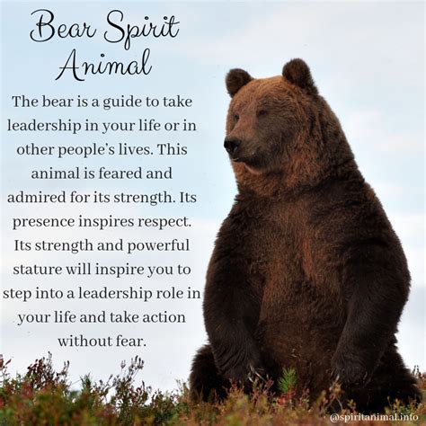 Bear Spirit Animal Meaning Bear Spirit Animal Spirit Animal