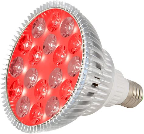 Best Infrared Light Bulbs
