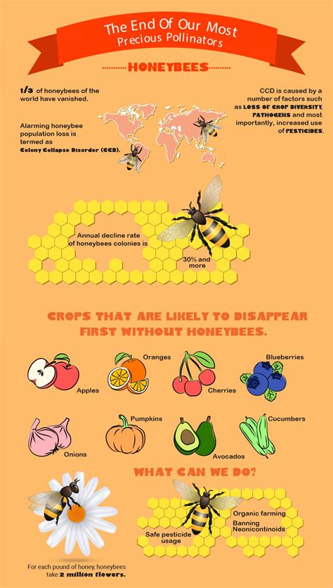 Honeybee Extinction Facts Visually Pollination Facts Important Facts