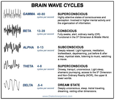 Levels Of 3d Consciousness And The Brain Wave States Bear With Me