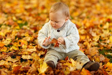 Free Images Outdoor Person People Play Leaf Fall Kid Cute
