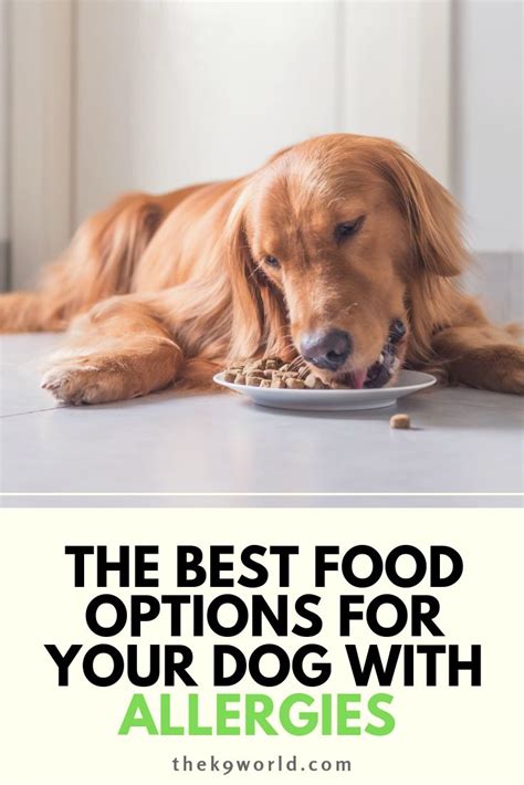 In some cases, the symptoms involve the respiratory system, with coughing, sneezing, and/or wheezing. If your dog has symptoms of allergies, your dog food might ...