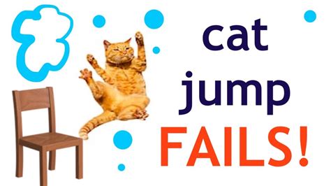 Funniest Cat Jump Fails Hilarious Cat Compilation Youtube