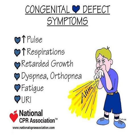 Congenital Heart Defect Symptoms Nursestudent Paramedistudent