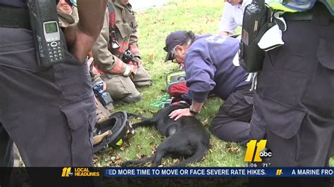 Dog Rescued From Burning Durham Home Abc11 Raleigh Durham