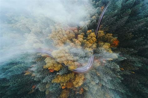 Landscape Nature Oregon Forest Road Highway Fall Mist Drone