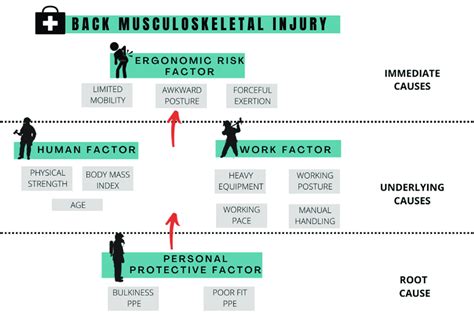 The Framework Of Causes For Back Musculoskeletal Injury Of Ffs