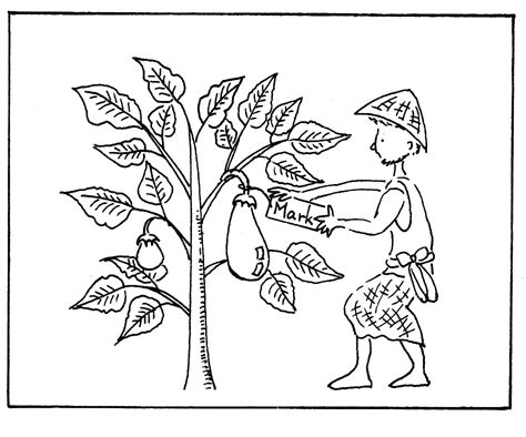parable   mustard seed coloring page coloring home