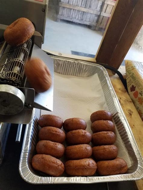Here Are The Best Apple Cider Donuts In New Hampshire