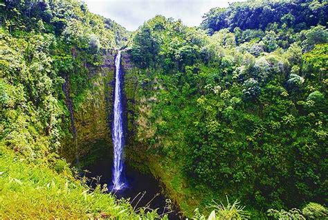Retreat In Pahoa On Hawaiis Big Island