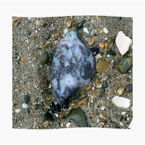 Pebble Poster For Sale By Kathleendawson Redbubble
