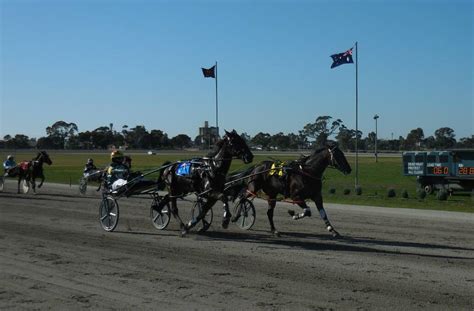 racing action set to return to horsham harness track from the sulky the wimmera mail times