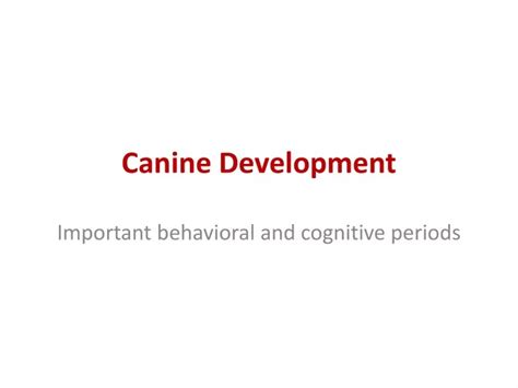 Ppt Canine Development Powerpoint Presentation Free Download Id