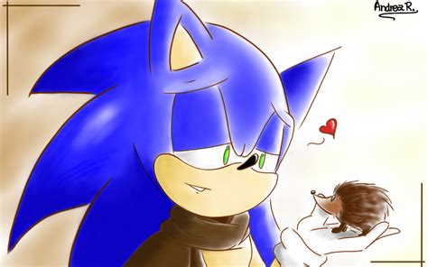 The Hedgehogs By Andrea15 Skywalker On Deviantart