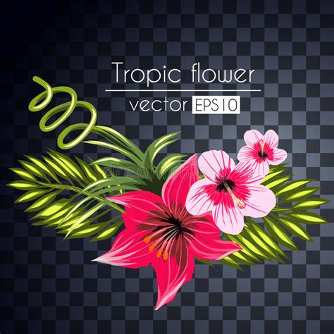 Tropical Flowers Stock Illustration Illustration Of Beautiful 85058549