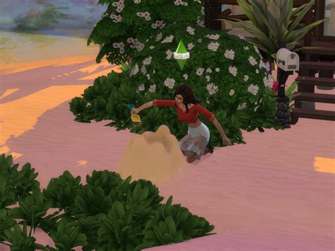 The Sims 4 Island Living Guide Levelskip
