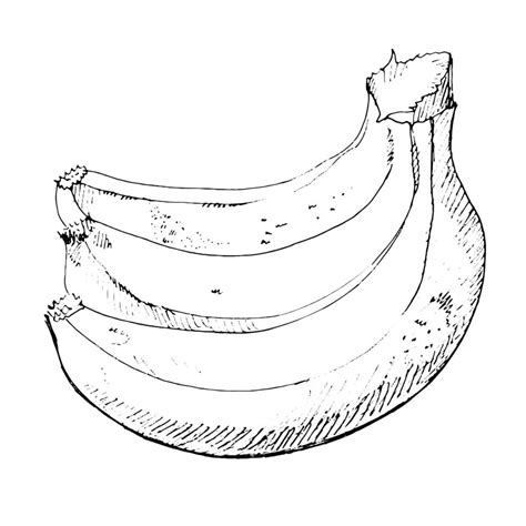 Black And White Banana Clip Art