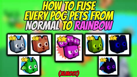 Cheap And Easy Fusing Methods How To Fuse Every Pog Pets In Pet