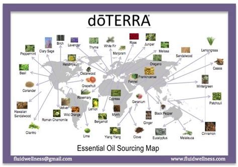 Doterra Essential Oils Are Sourced From Where They Are Indigenous
